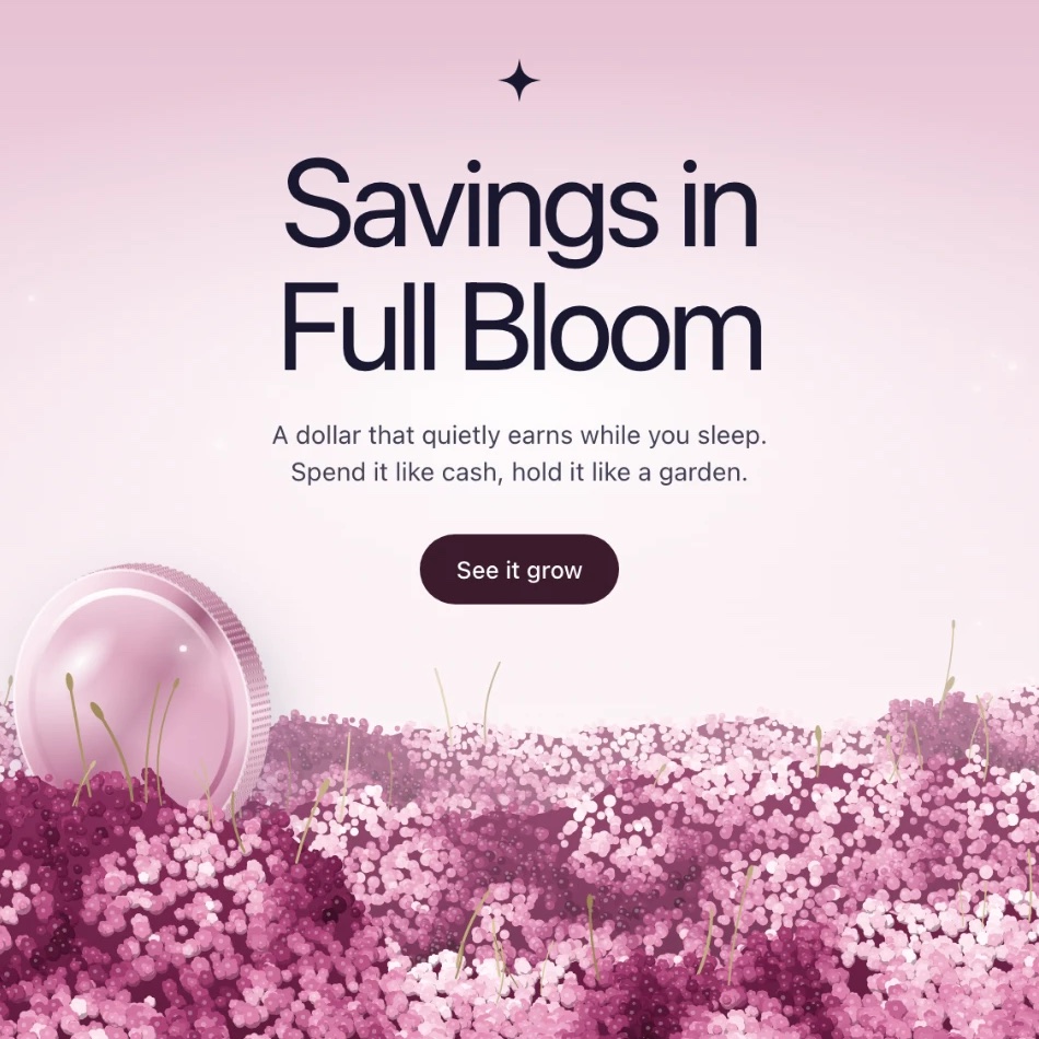 Accueil du site Petalpay : « Savings in Full Bloom » au-dessus d’un champ de fleurs roses